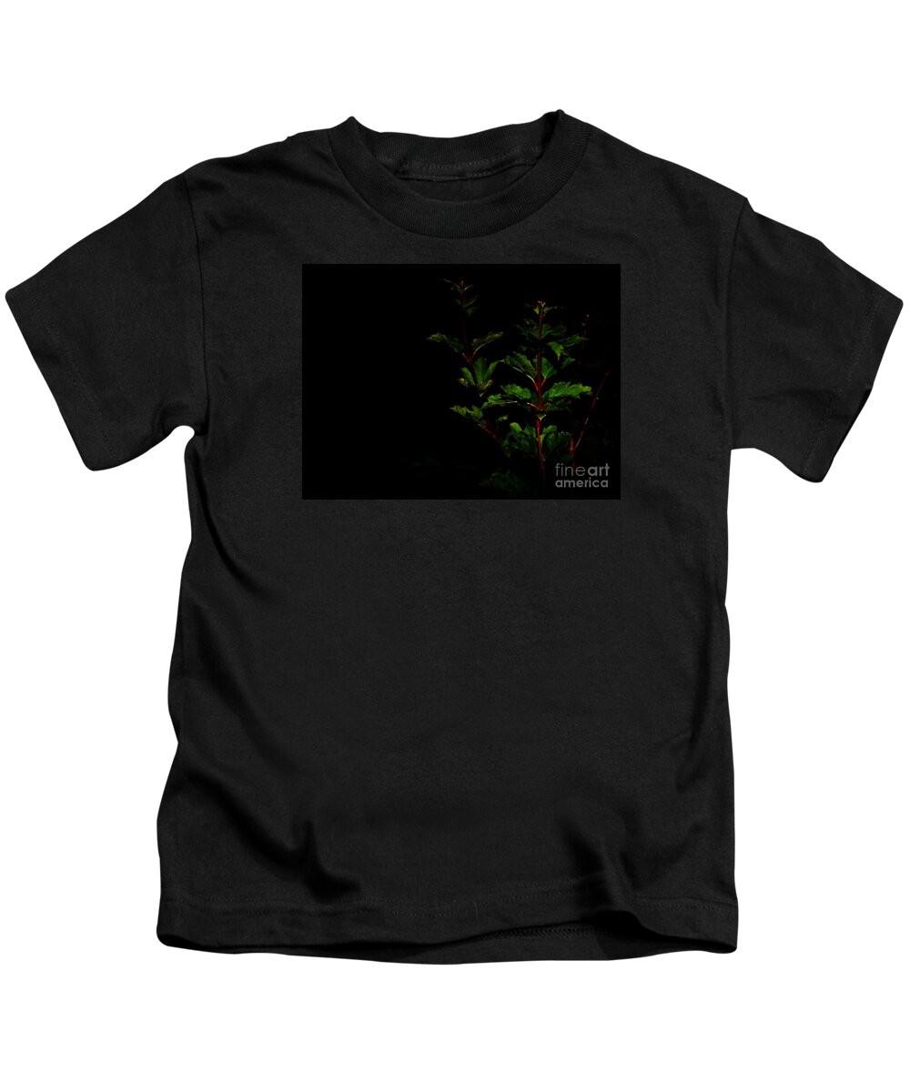 Plant Kids T-Shirt featuring the photograph Night Garden by Linda Shafer
