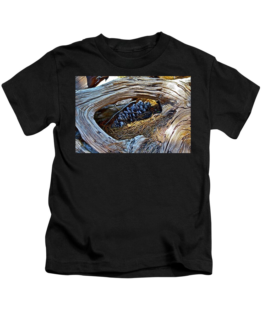 Trees Kids T-Shirt featuring the photograph Old Wood by Diana Hatcher