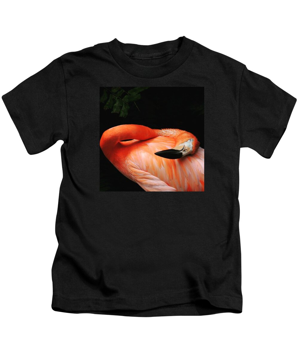Flamingo Kids T-Shirt featuring the photograph Flamingo at Rest by Claudia Miller