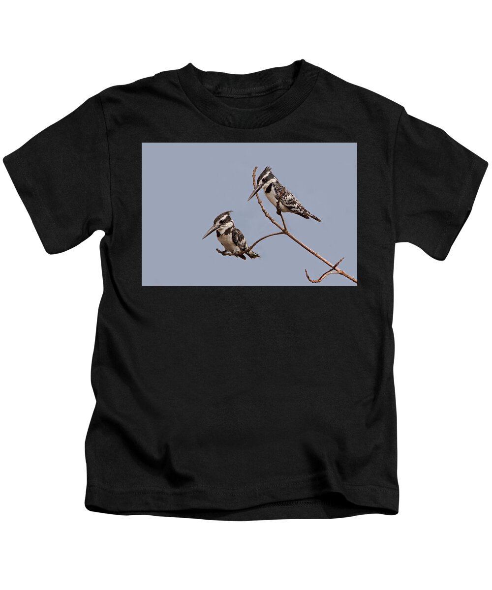 Pied Kingfisher Kids T-Shirt featuring the photograph Pied Kingfisher Pair by Aivar Mikko