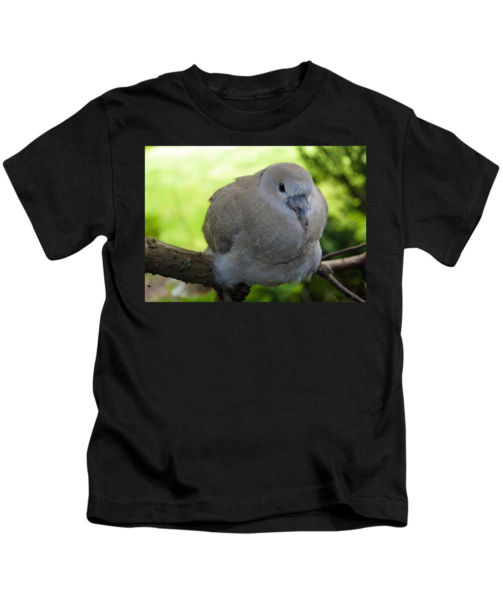 Pigeon Kids T-Shirt featuring the photograph Pigeon by Jackie Russo