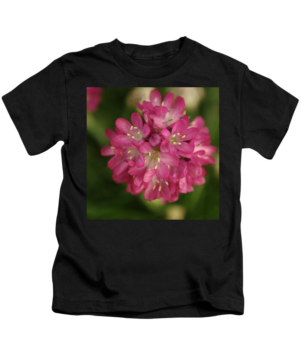 Flowers Kids T-Shirt featuring the photograph Pink Armeria Cluster by Adrian Wale