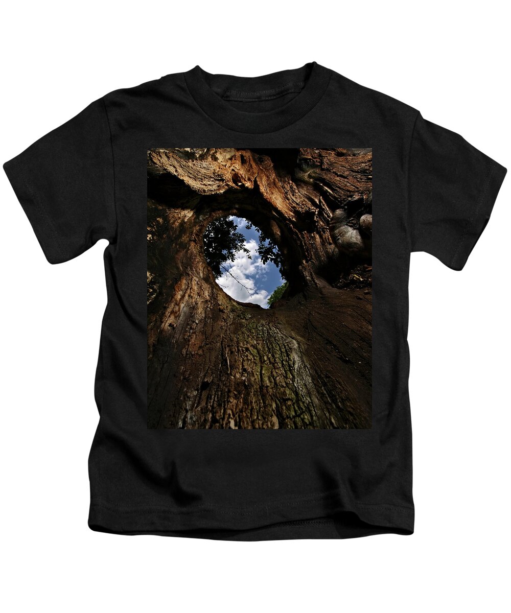 Tree Kids T-Shirt featuring the photograph Portal by Neil Shapiro