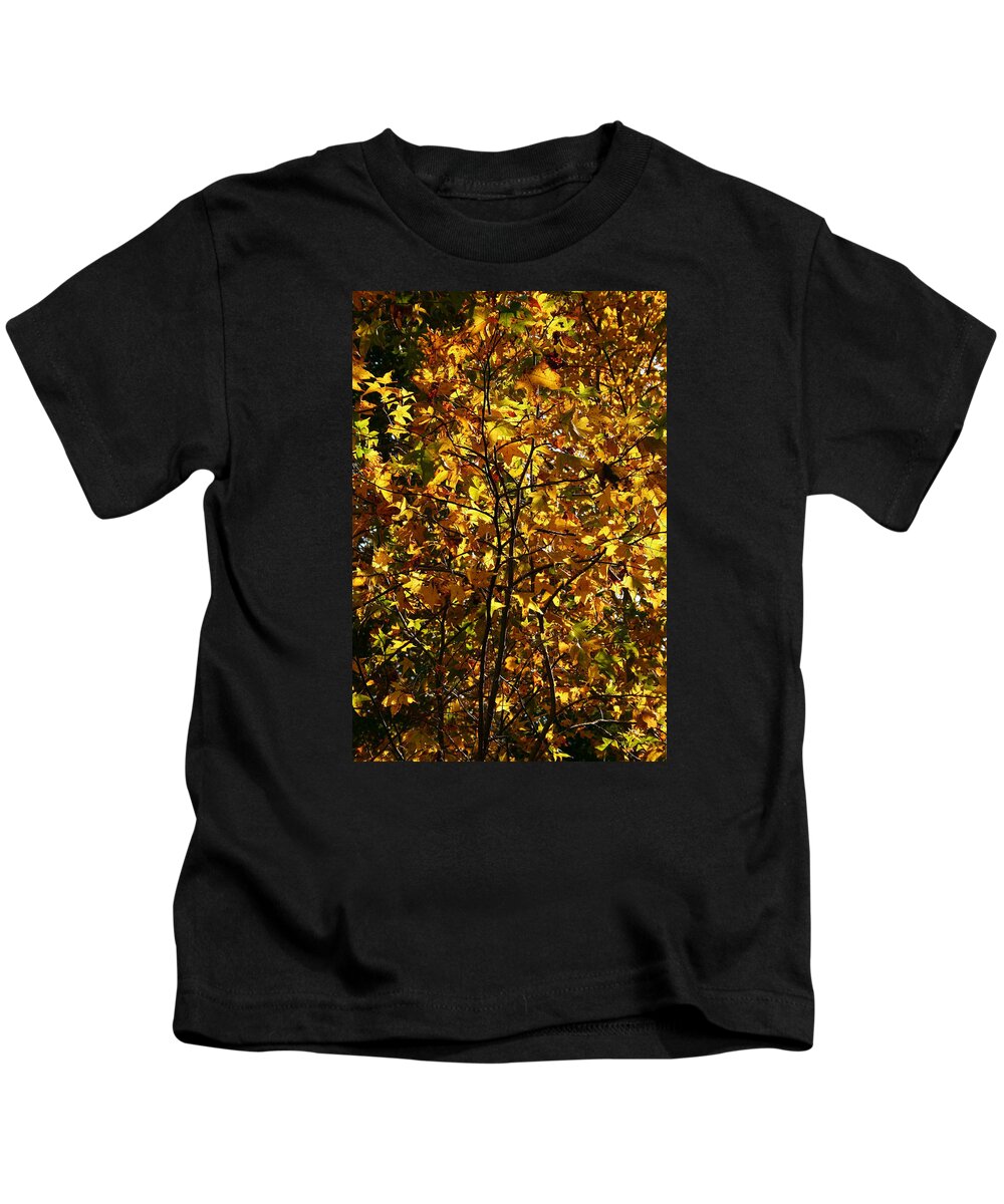 Leaf Kids T-Shirt featuring the photograph Radiant Leaves by Karen Harrison Brown
