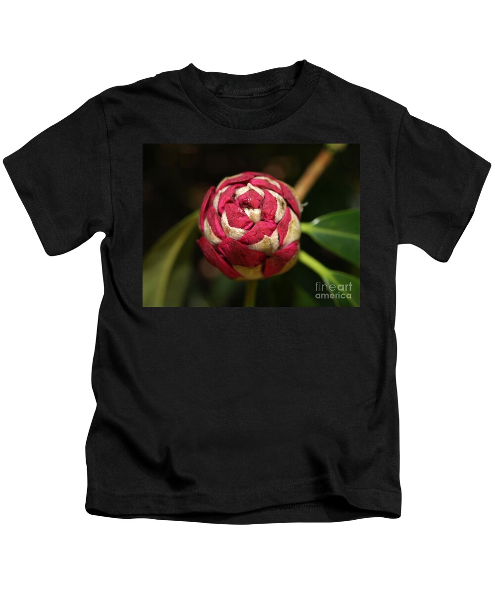 Rhododendron Kids T-Shirt featuring the photograph Rhododendron Bud by Richard Brookes