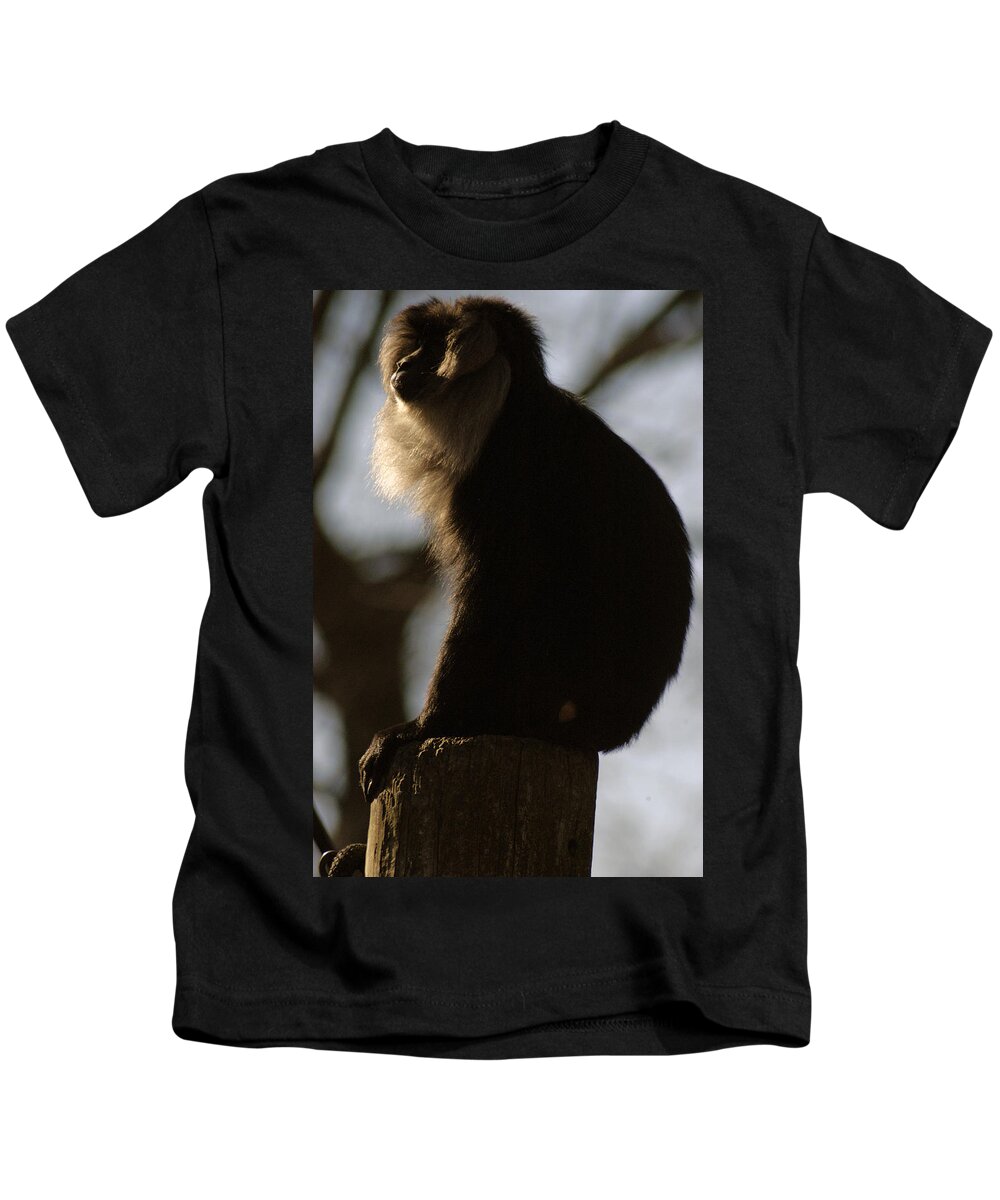 Memphis Zoo Kids T-Shirt featuring the photograph Rim Light by DArcy Evans