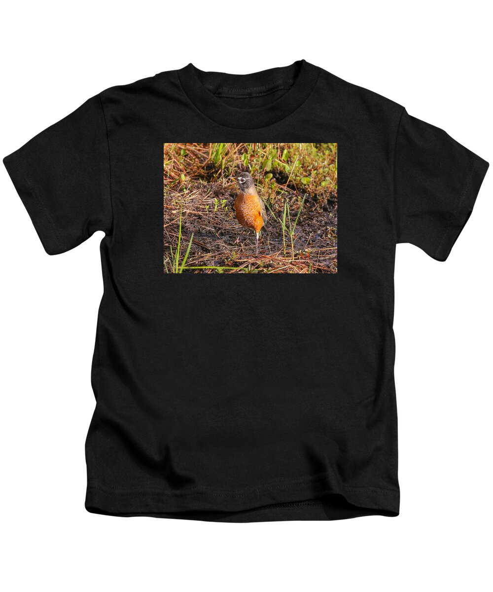 Robin Kids T-Shirt featuring the photograph Robin by Dart Humeston