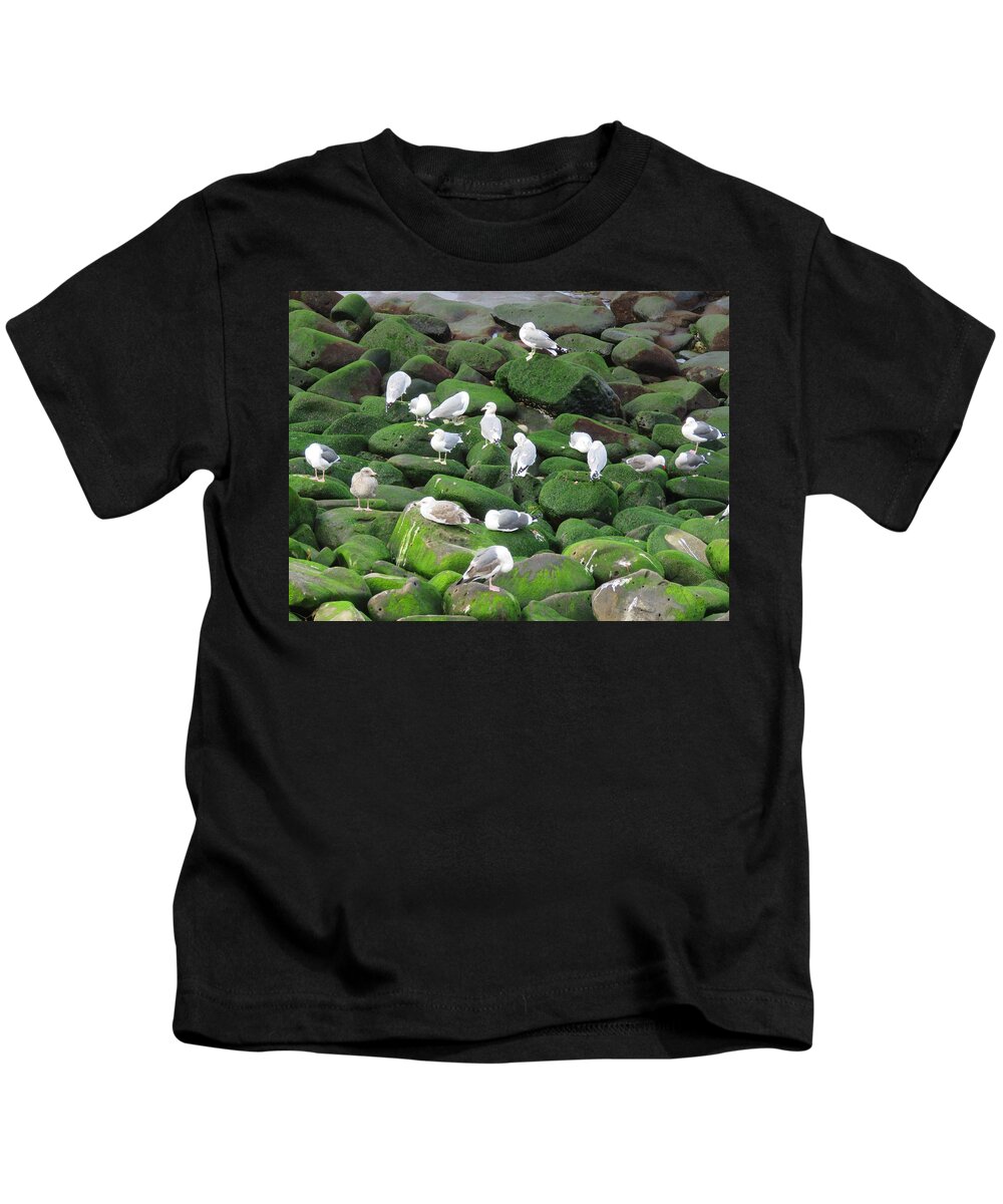 La Jolla Cove Kids T-Shirt featuring the photograph Rocks and Gulls by Keith Stokes