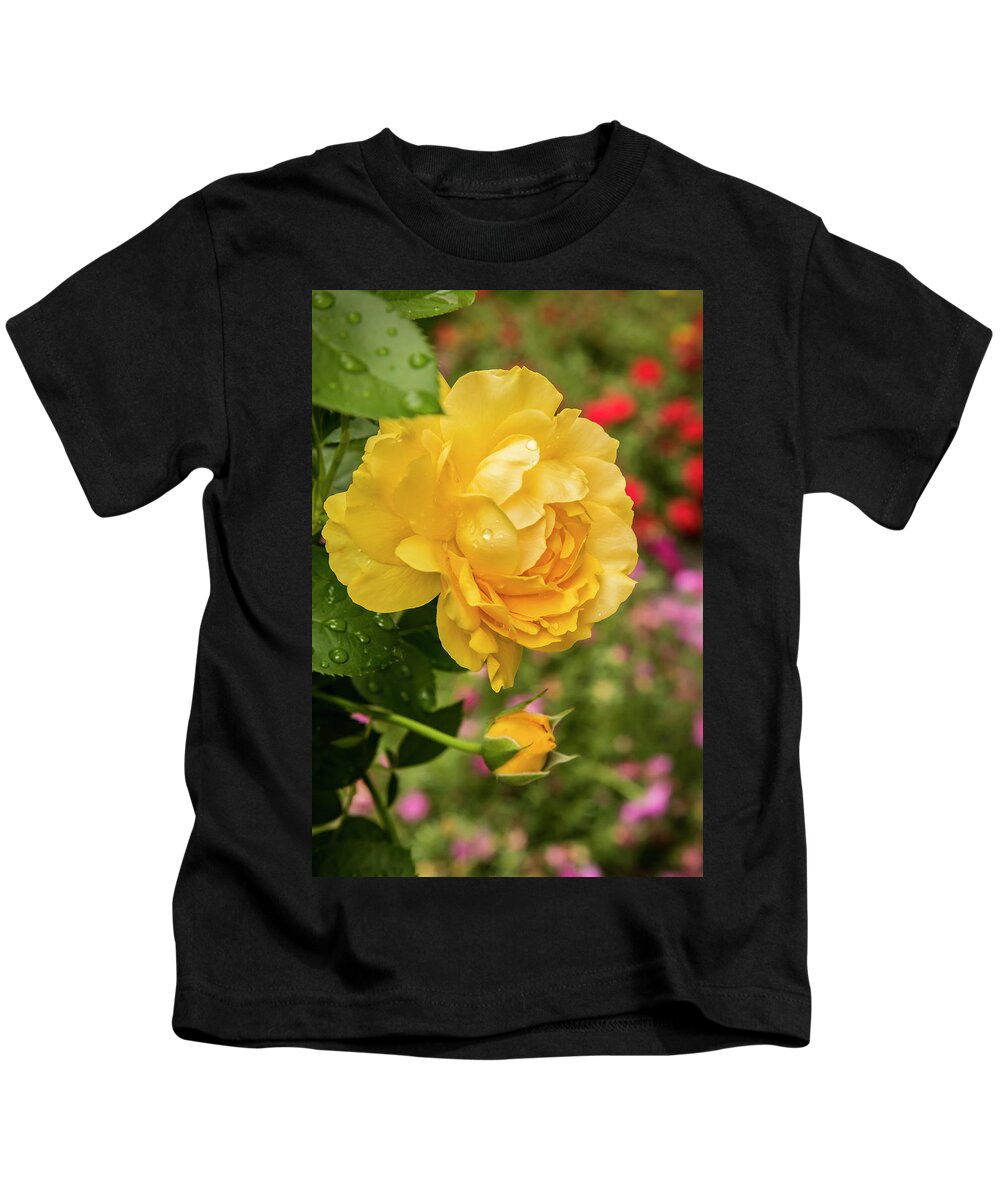 5dmkiv Kids T-Shirt featuring the photograph Rose, Julia Child by Mark Mille