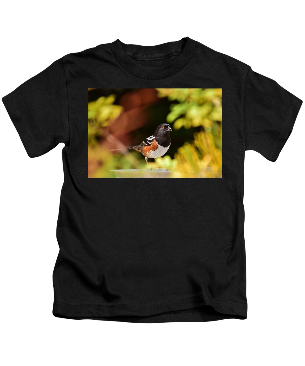 Linda Brody Kids T-Shirt featuring the photograph Spotted Towhee 1 by Linda Brody