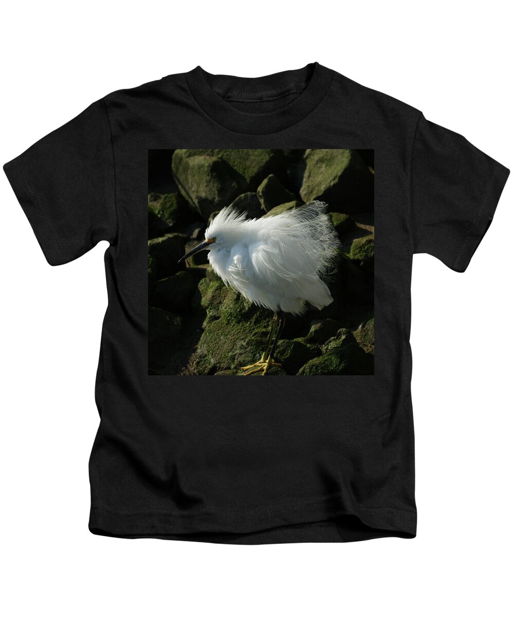 Animals Kids T-Shirt featuring the photograph Snowy Egret Fluffy by Ernest Echols