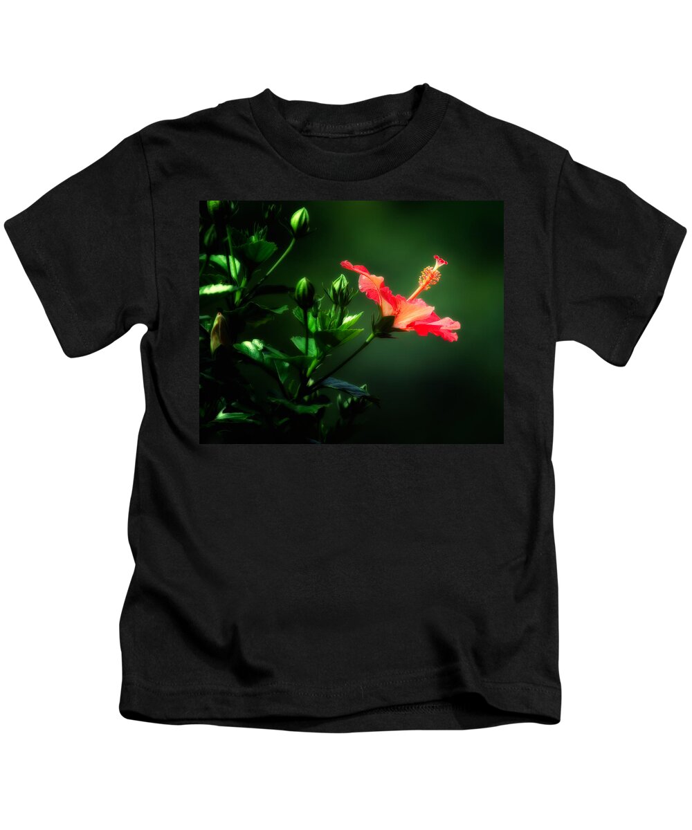 Hibiscus Plant Kids T-Shirt featuring the photograph Soft red Hibiscus plant by Al Mueller