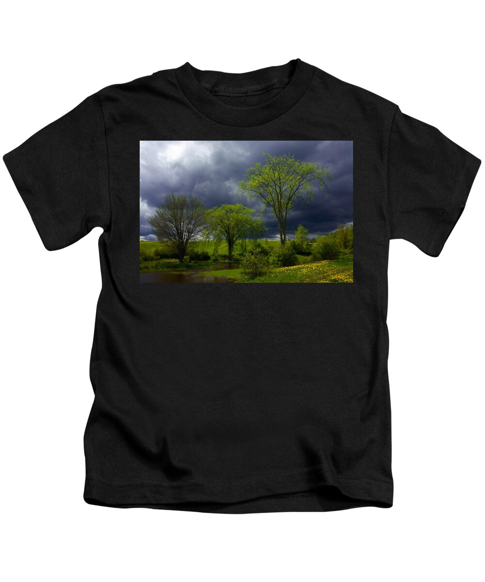 Spring Kids T-Shirt featuring the photograph Spring Meadow Storm Light by Irwin Barrett