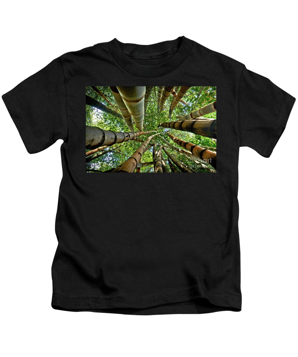 Brasil Kids T-Shirt featuring the photograph Stunning Bamboo Forest - Color by Carlos Alkmin