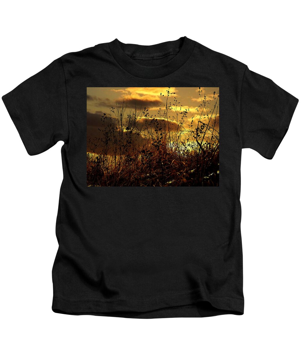 Grass Kids T-Shirt featuring the photograph Sunset Grasses by Julie Hamilton