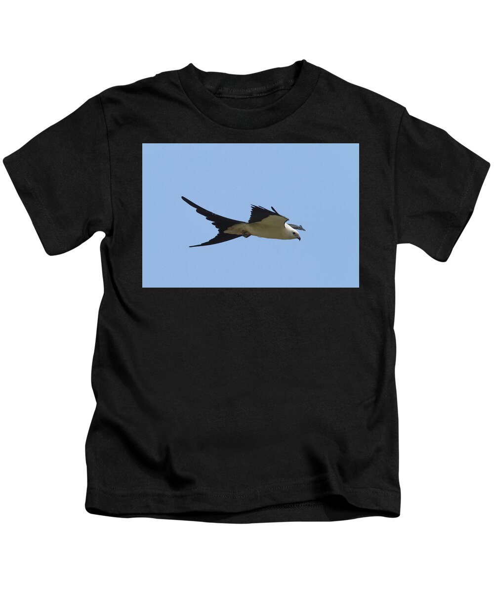 Swallow-tailed Kite Kids T-Shirt featuring the photograph Swallow-tailed Kite #2 by Paul Rebmann
