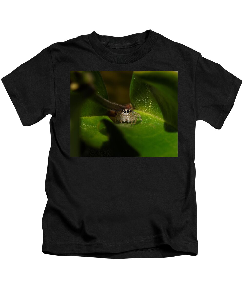 The Itsy-bitsy Spider Kids T-Shirt featuring the photograph The Itsy-Bitsy Spider -- Jumping Spider in Templeton, California by Darin Volpe
