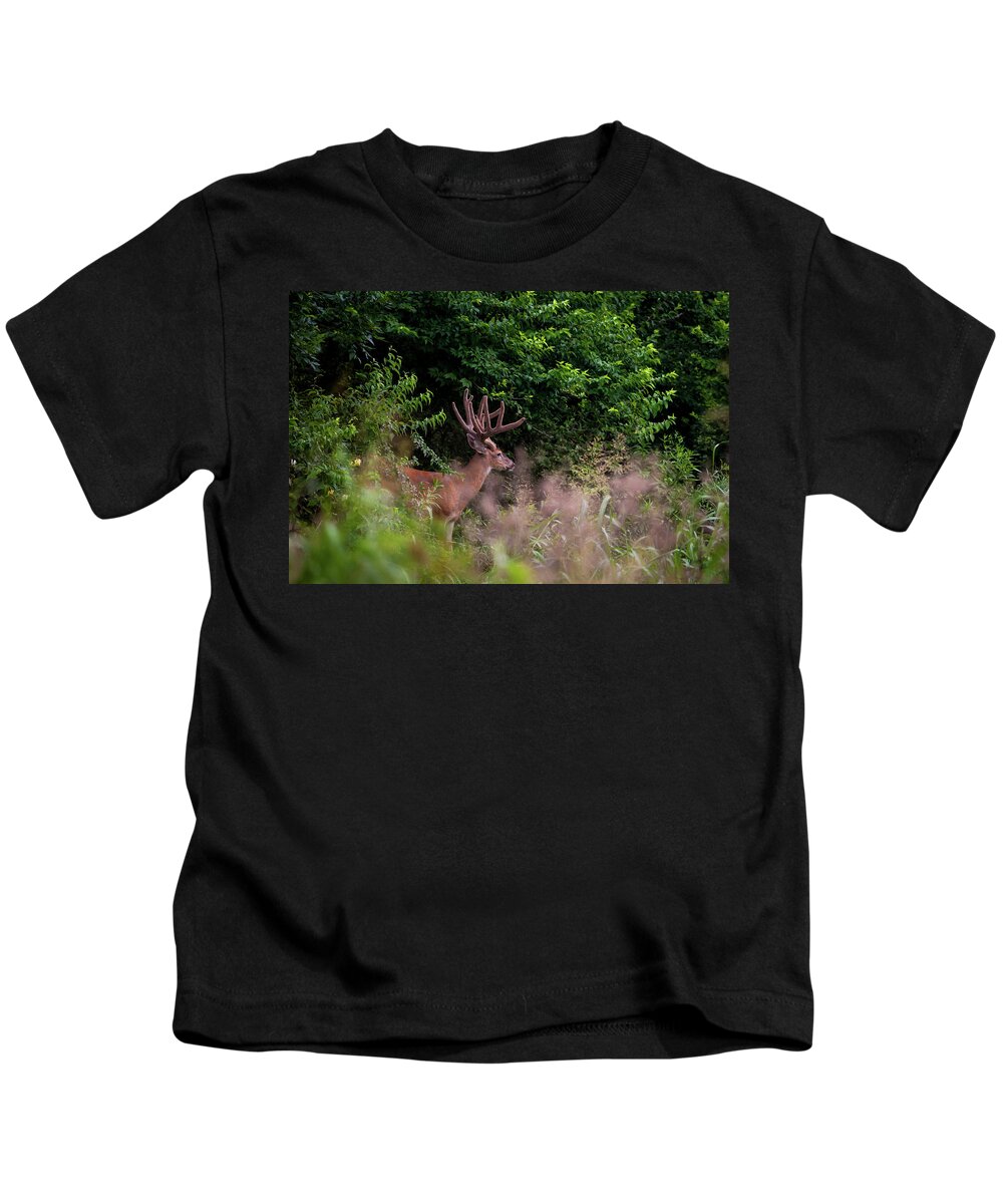 Whitetail Kids T-Shirt featuring the photograph Velvet Crown by Jeff Phillippi
