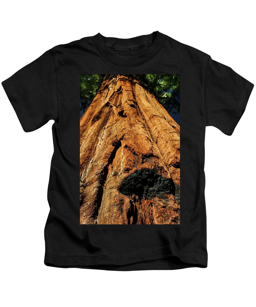 Yosemite Kids T-Shirt featuring the photograph Venerable Giant by Doug Scrima