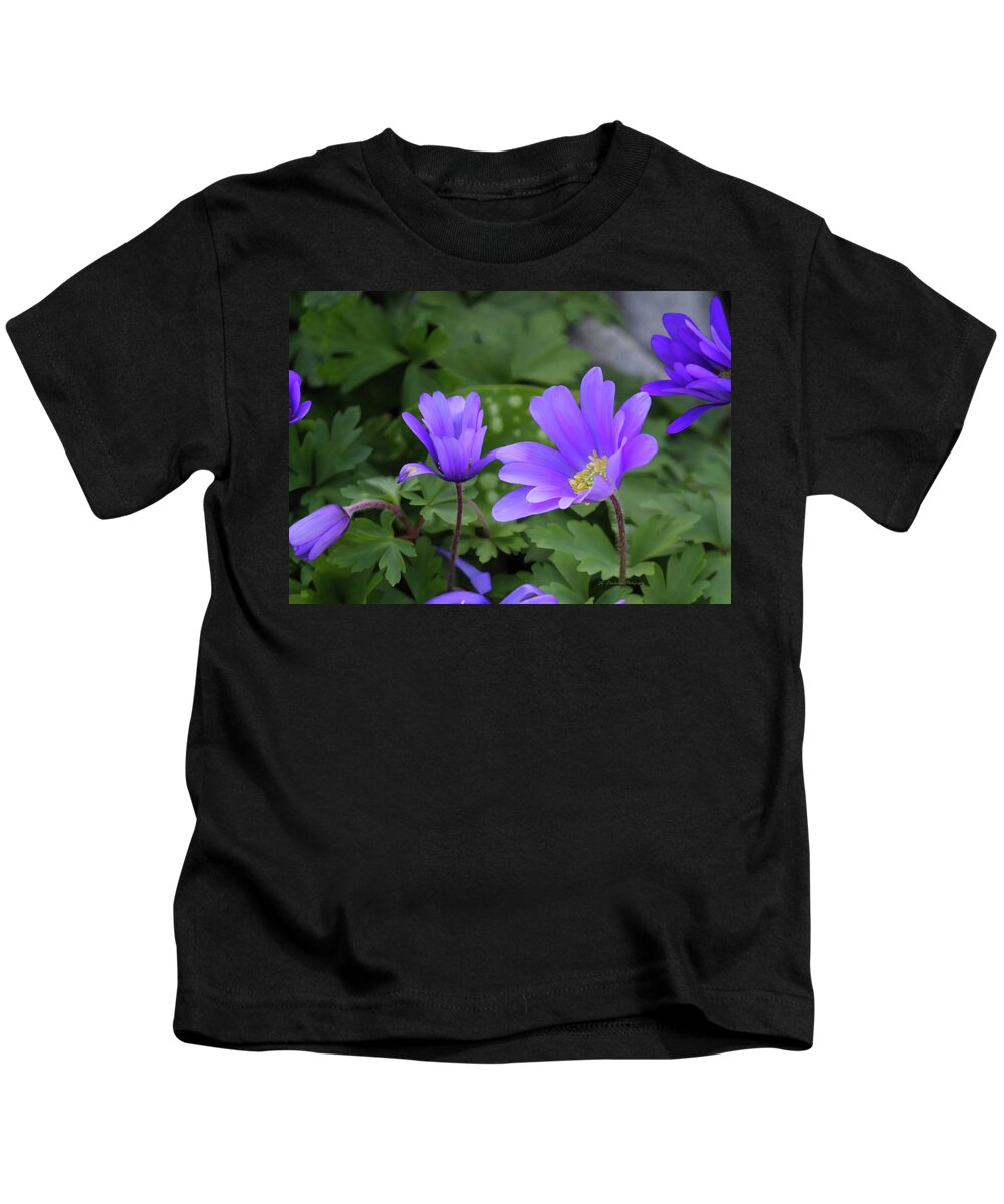 Tea Time Kids T-Shirt featuring the photograph Vinca In The Morning by Jeanette C Landstrom