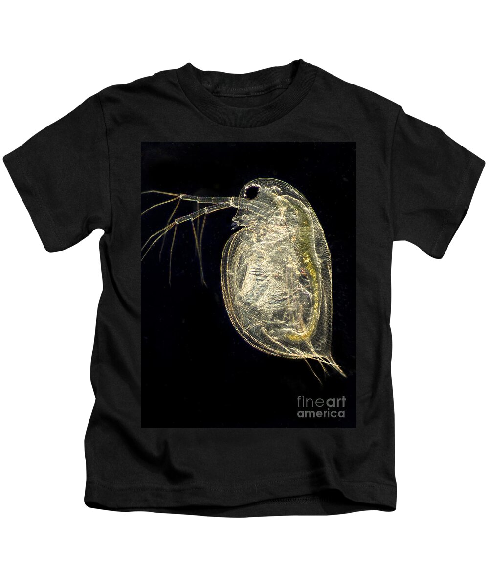 Science Kids T-Shirt featuring the photograph Water Flea Daphnia Magna, Lm by Rubn Duro/BioMEDIA ASSOCIATES LLC