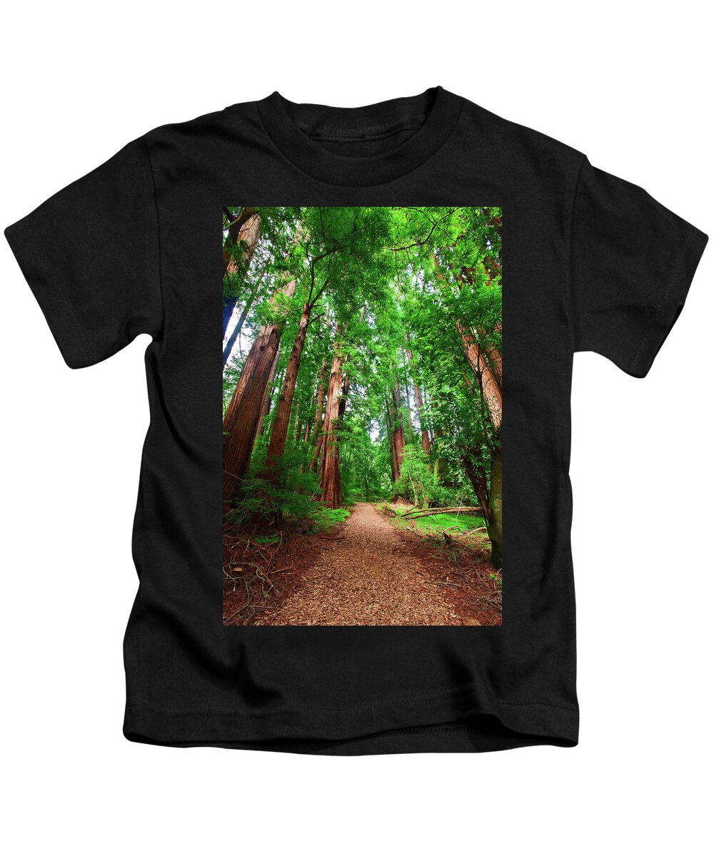 Muir Woods Kids T-Shirt featuring the photograph Where the Sidewalk Ends by Brian Knott Photography