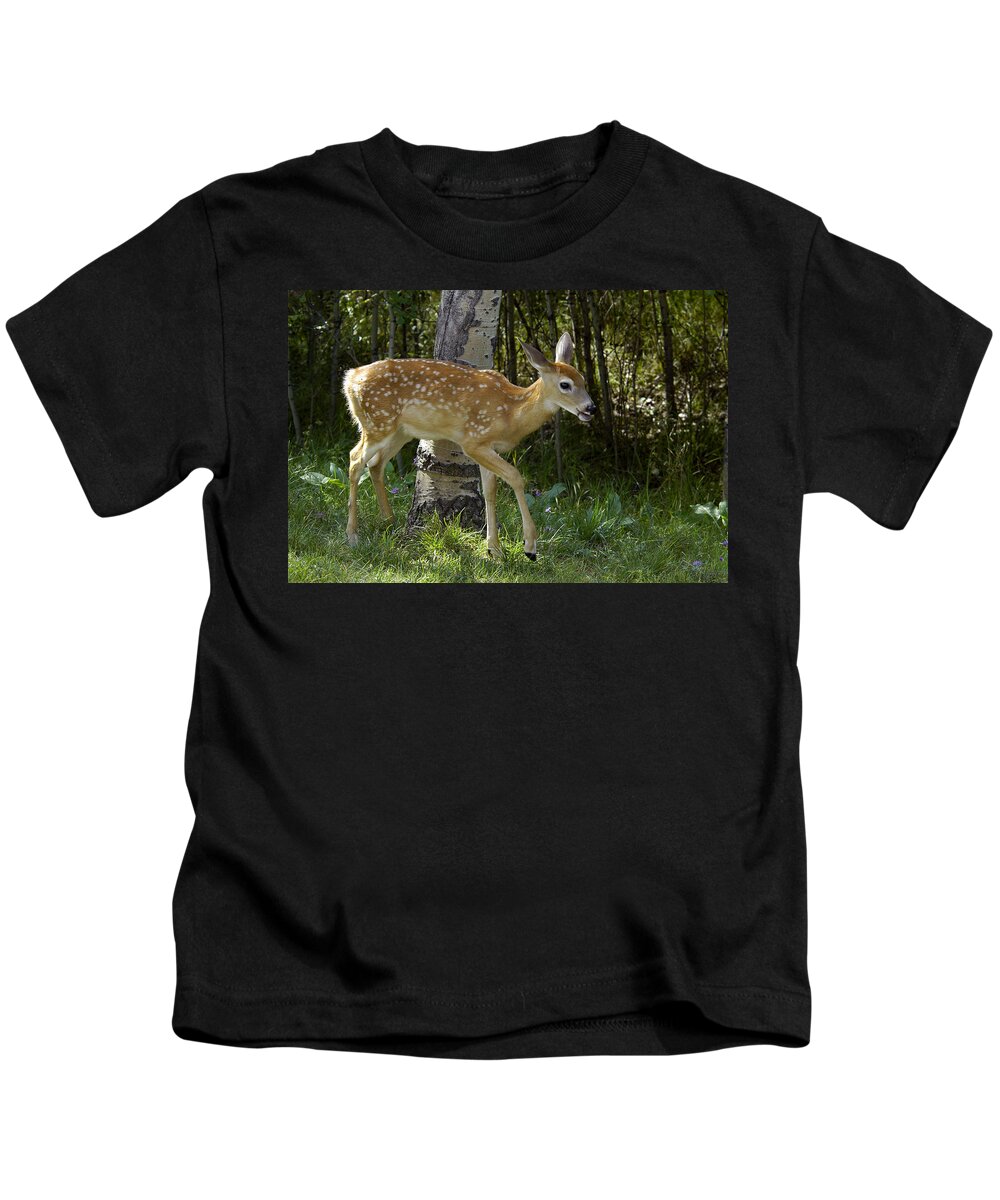 Fawn Kids T-Shirt featuring the photograph Whitetail Fawn by Gary Beeler