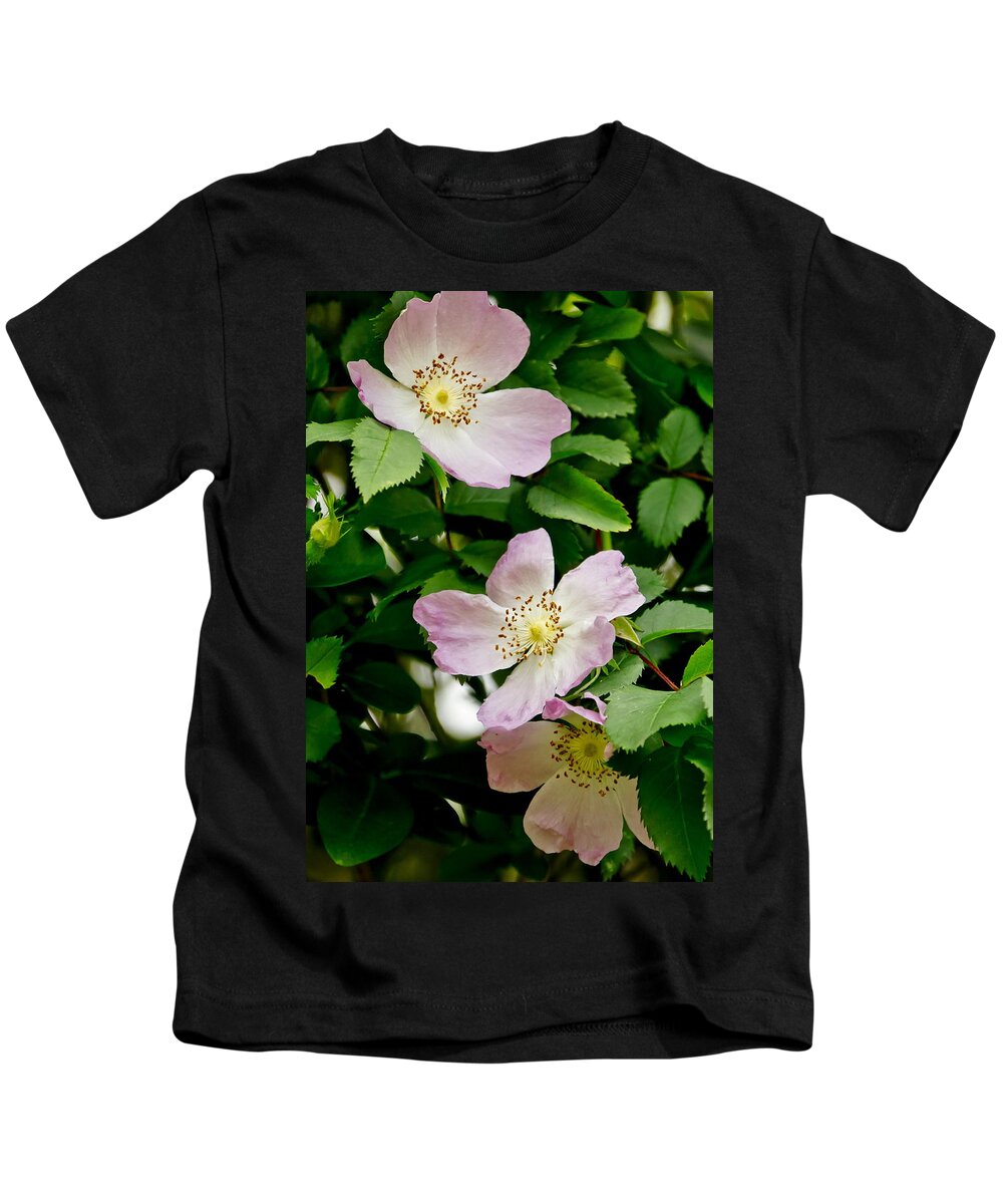 Wild Roses Kids T-Shirt featuring the photograph Wild Roses. Trio. by Elena Perelman