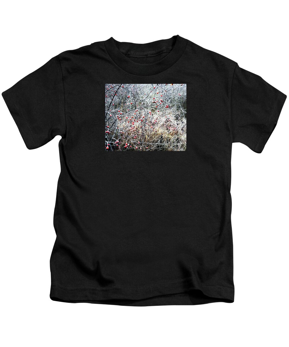 Winter Kids T-Shirt featuring the photograph Winter Weeds and Rose Hips #2 by HelenaP Art