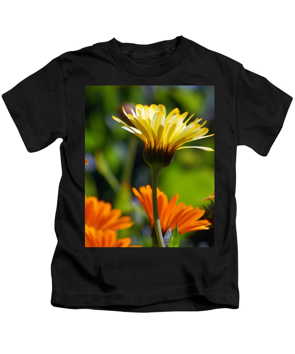 Daisy Kids T-Shirt featuring the photograph Yellow Daisy by Amy Fose