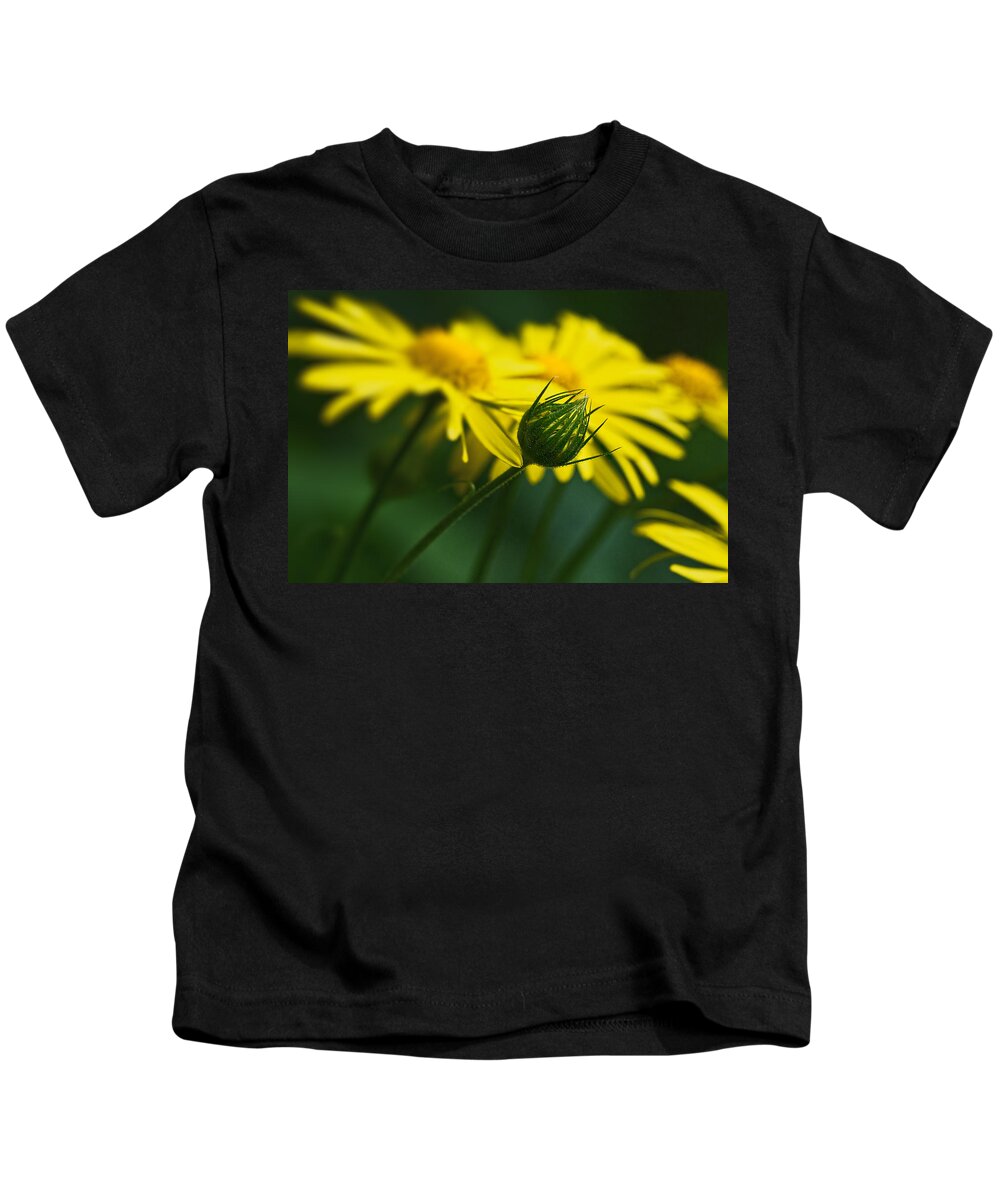 Europe Kids T-Shirt featuring the photograph Yellow daisy bud by Roberto Pagani