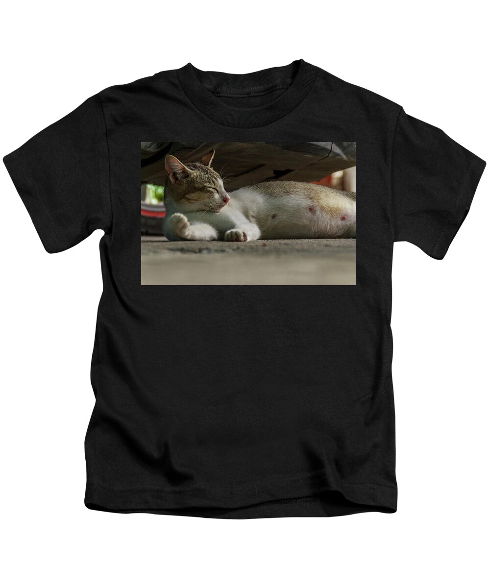 Beautiful Kids T-Shirt featuring the photograph A Beautiful Female Cat #1 by Mangge Totok