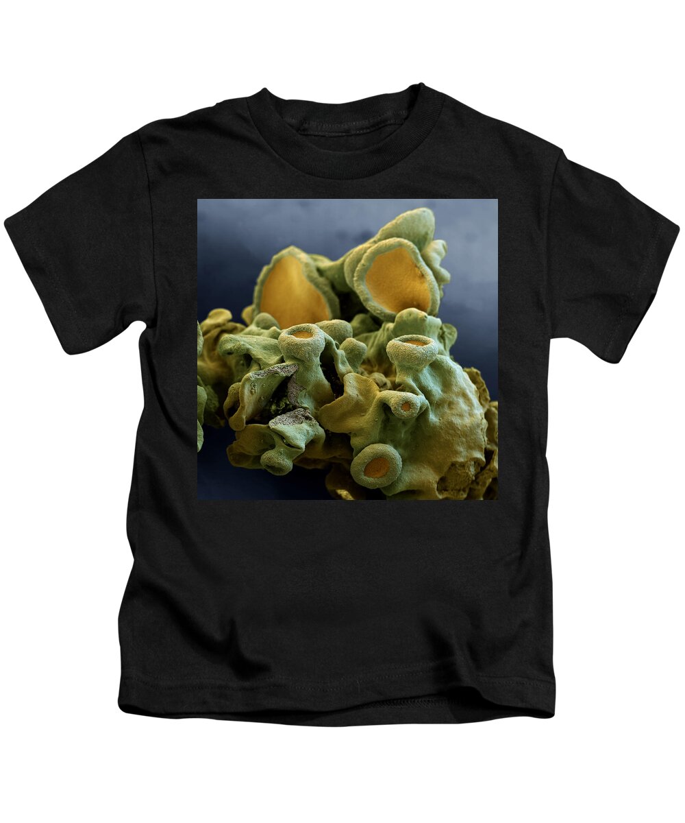 Algae Kids T-Shirt featuring the photograph Common Orange Lichen by Meckes/ottawa