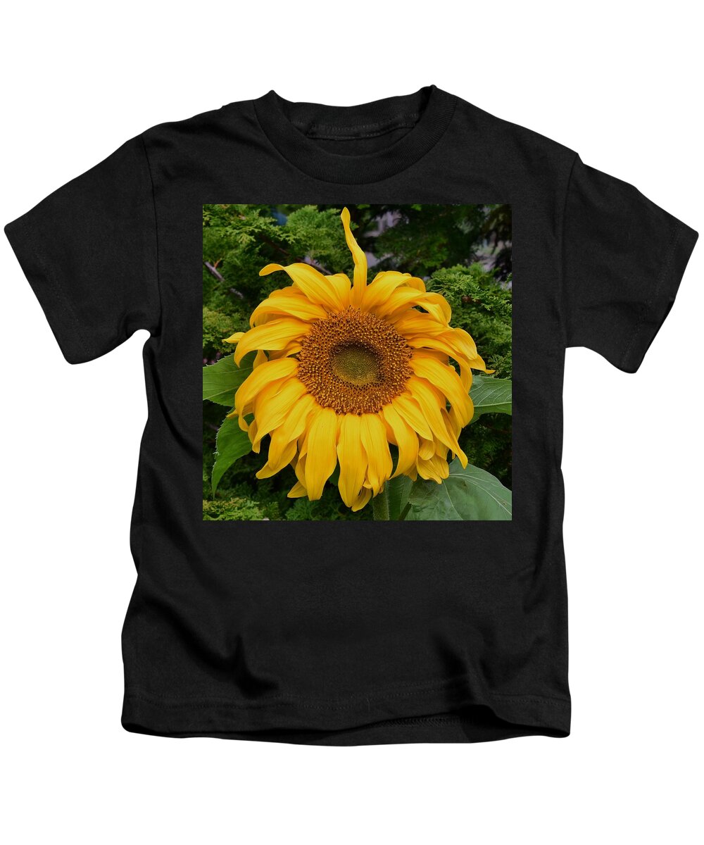 Sunflower Kids T-Shirt featuring the photograph Sunflower #1 by Jimmy Chuck Smith