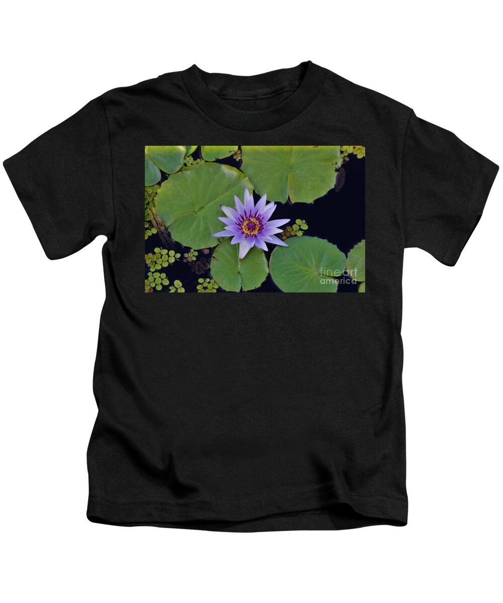 Naples Kids T-Shirt featuring the photograph Botanical Gardens #10 by Donn Ingemie
