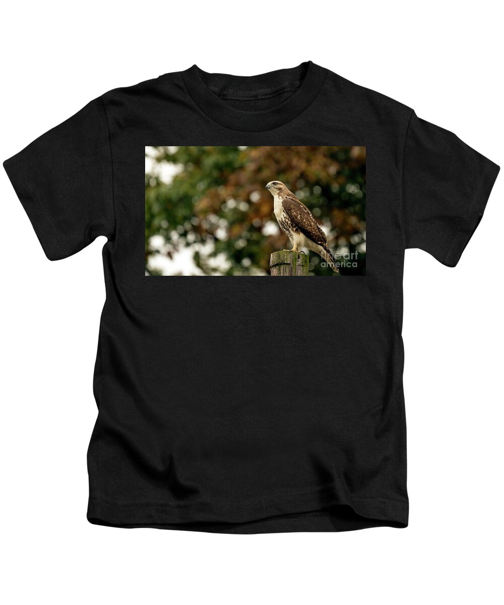 Red Tailed Hawk Kids T-Shirt featuring the photograph Red tailed hawk #4 by Sam Rino