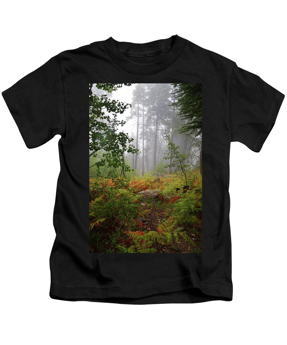 Autumn Kids T-Shirt featuring the photograph Autumn fog by Chance Kafka