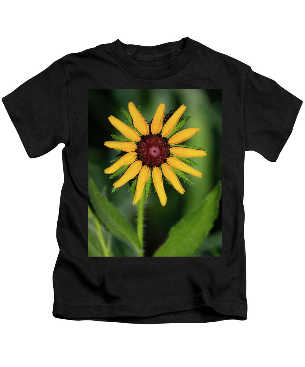 Johnson County Kids T-Shirt featuring the photograph Black Eyed Susan by Jeff Phillippi