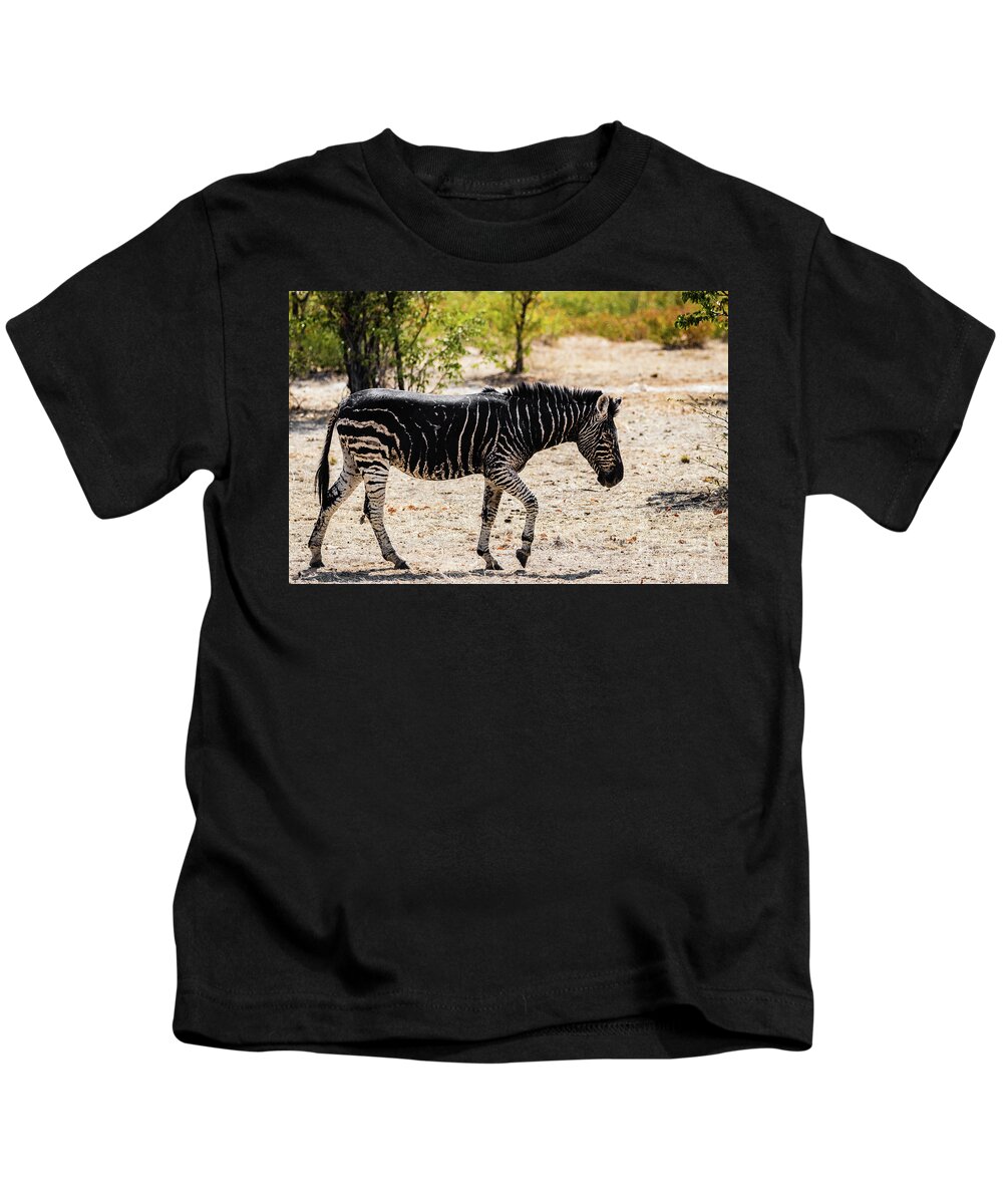Zebra Kids T-Shirt featuring the photograph Black zebra, Namibia by Lyl Dil Creations