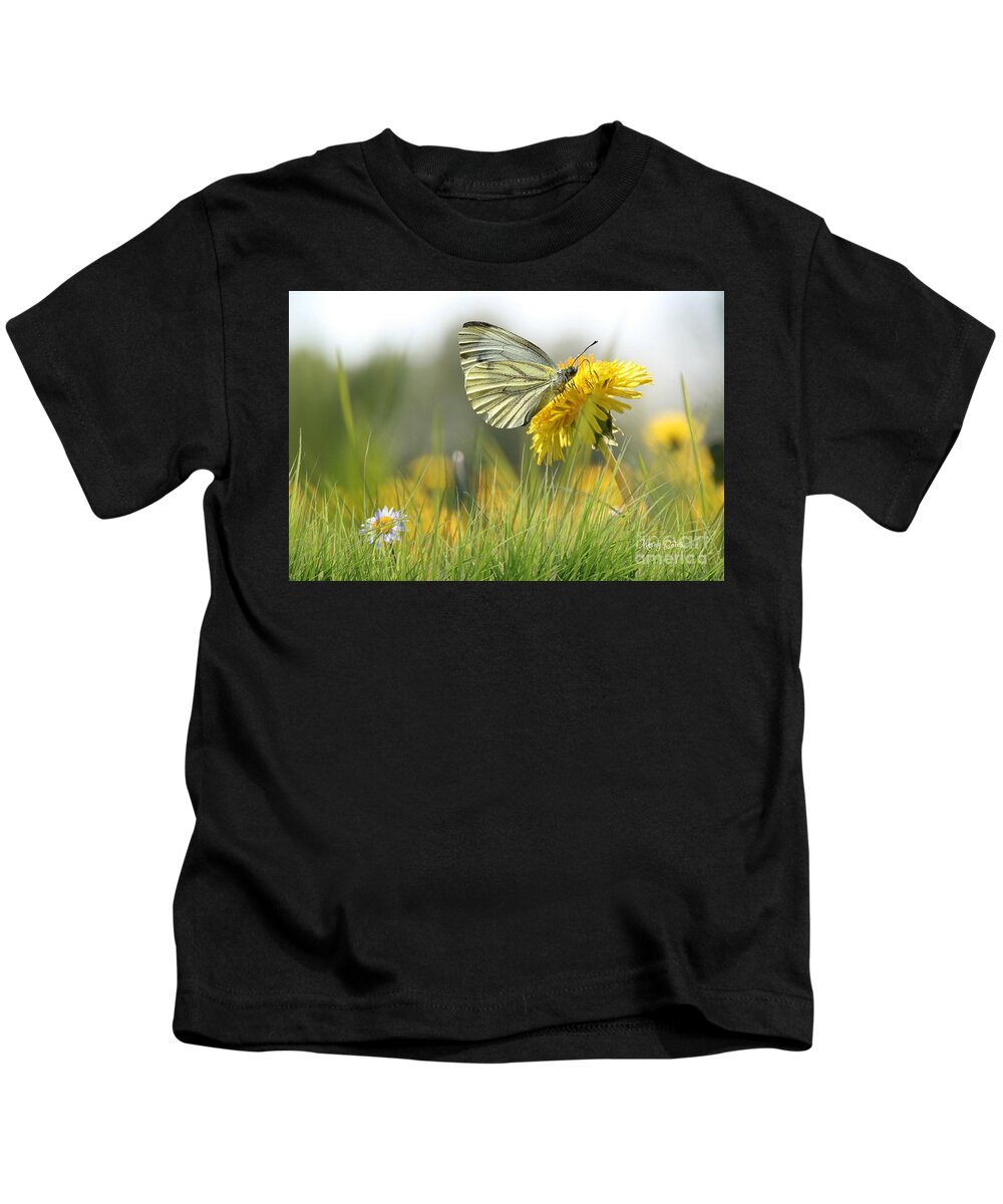 Butterfly On Flower. Butterfly And Dandelion Kids T-Shirt featuring the pyrography Butterfly on Dandelion by Morag Bates