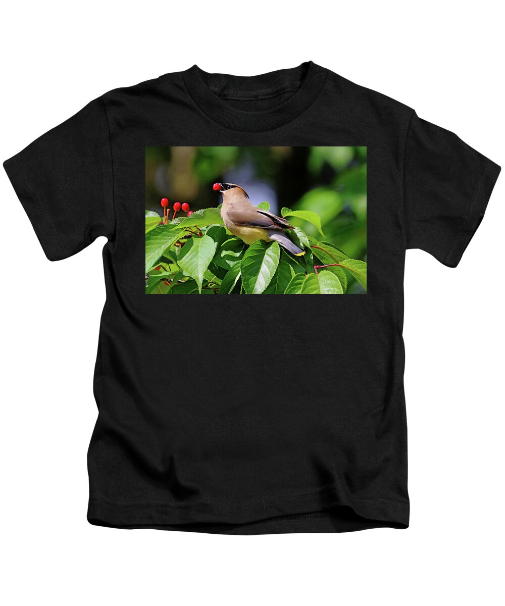 Cedar Waxwing Kids T-Shirt featuring the photograph Cherry Picking by Debbie Oppermann