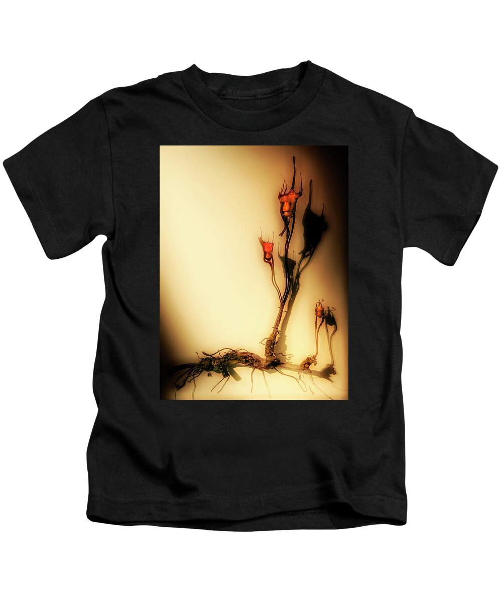 Cultivation Kids T-Shirt featuring the photograph Cultivation of bulbs by Micah Offman