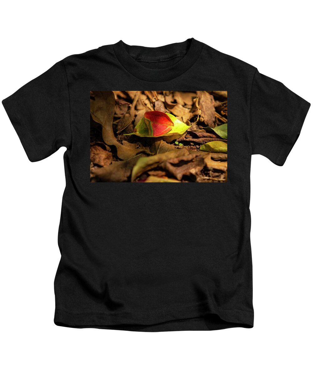 Photo Kids T-Shirt featuring the photograph Fall Colors by Jason Hughes