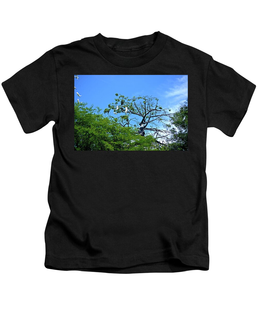 Cattle Egret Kids T-Shirt featuring the photograph Ibis Risen by Climate Change VI - Sales