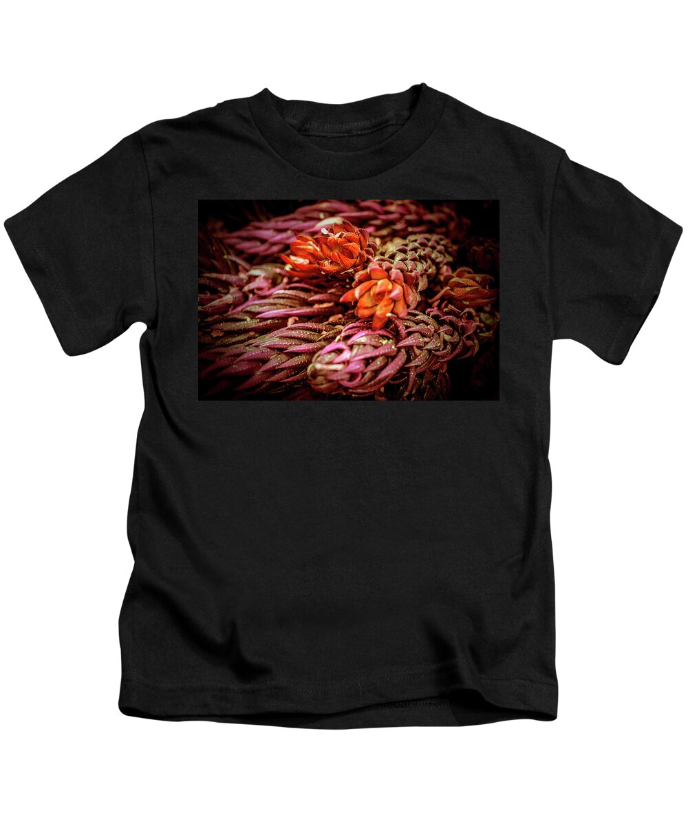 Succulent Kids T-Shirt featuring the photograph Succulent IV by Lily Malor