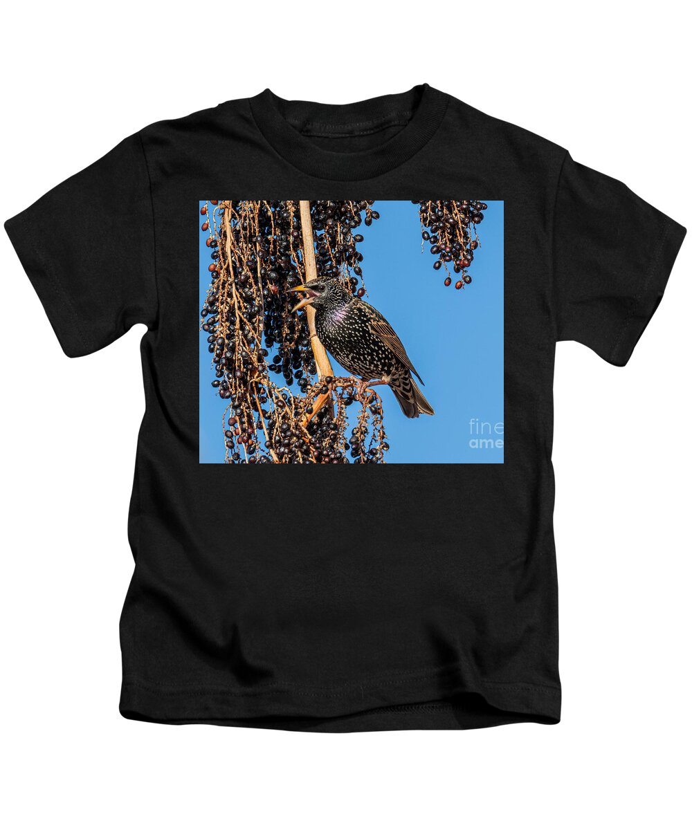 Europen Starling Kids T-Shirt featuring the digital art Europen Starling #2 by Tammy Keyes