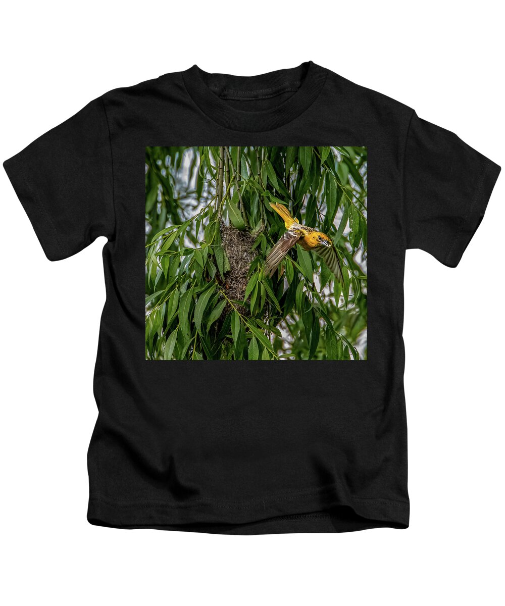 Baltimore Oriole Kids T-Shirt featuring the photograph Baltimore Oriole in flight by Brian Shoemaker