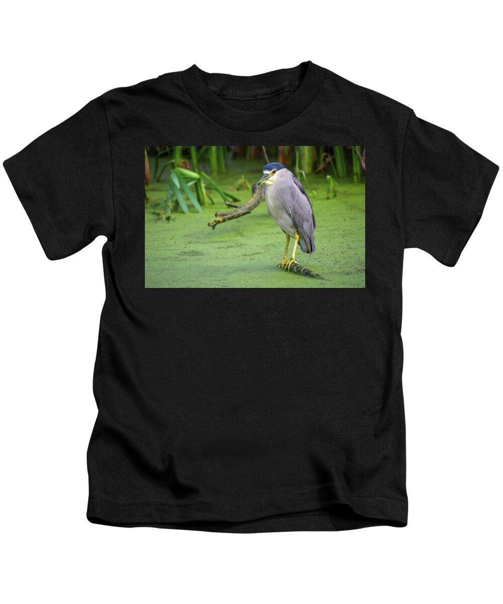 Black Kids T-Shirt featuring the photograph Black Crowned Night Heron by David Hart