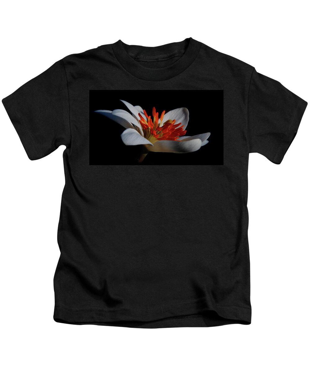 Flower Kids T-Shirt featuring the photograph Bloodroot Art by Patti Deters