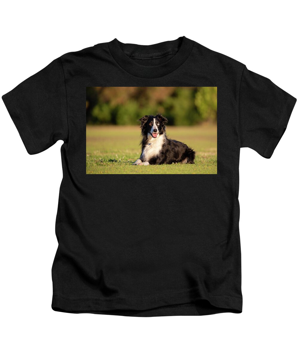 Border Collie Kids T-Shirt featuring the photograph Border Collie by Diana Andersen